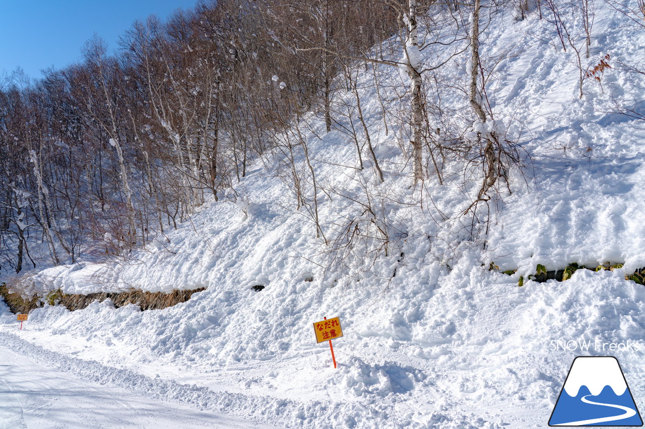 札幌藻岩山スキー場｜本日、雲一つ無い快晴！札幌藻岩山の全10コースの滑走にチャレンジ(^^)/